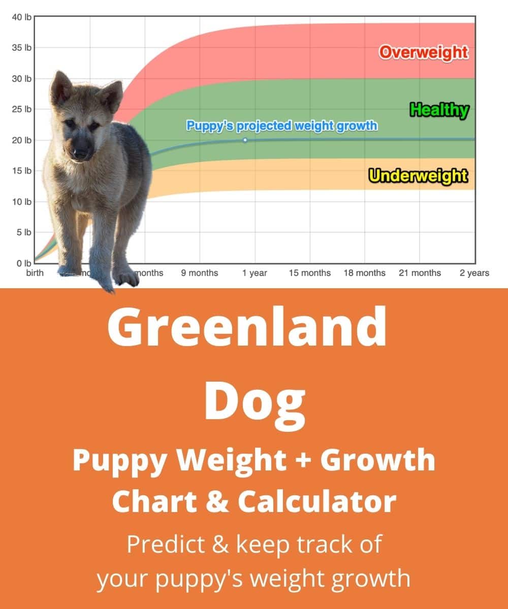 greenland-dog Puppy Weight Growth Chart